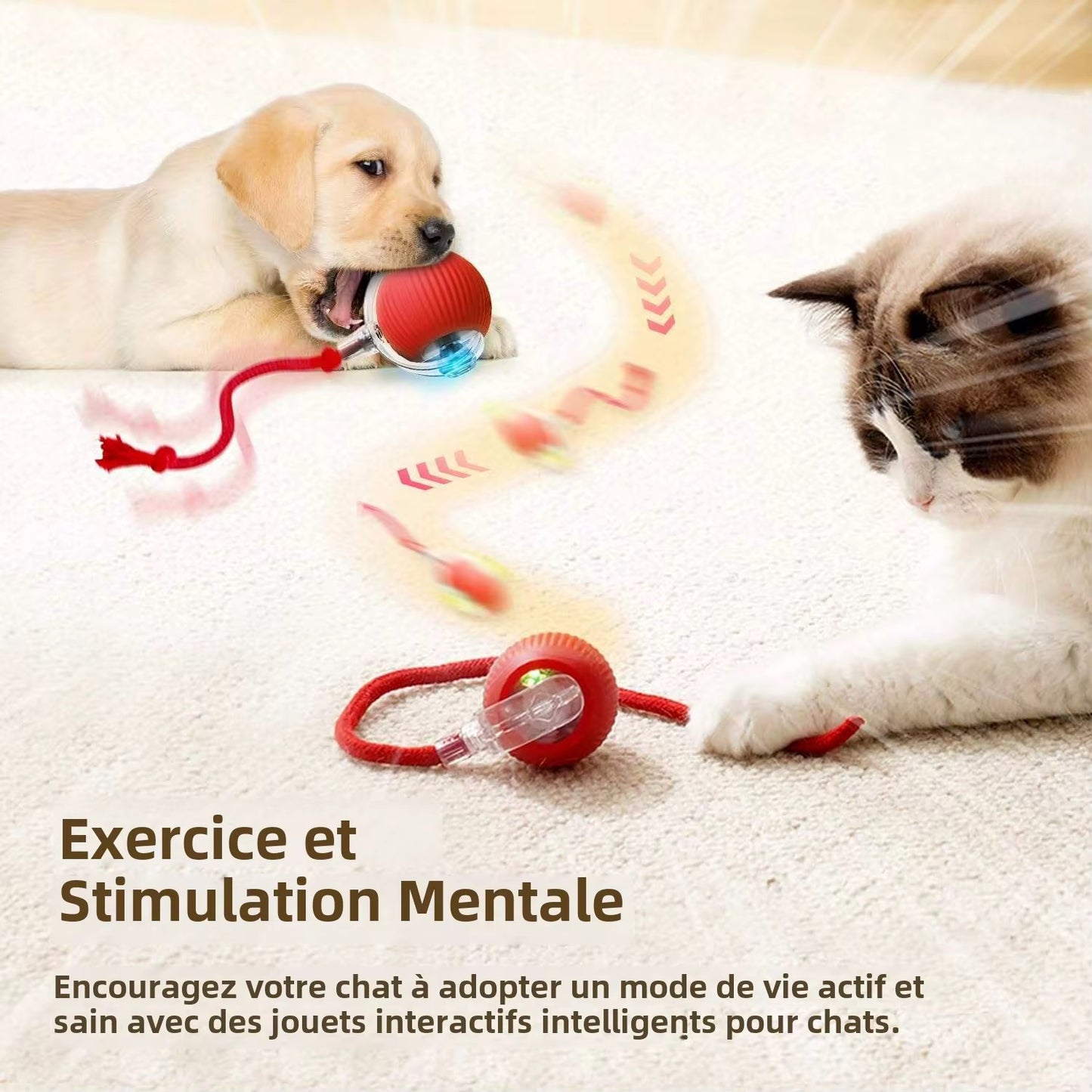 Balle interactive intelligente pour chat, rechargeable et amusante !