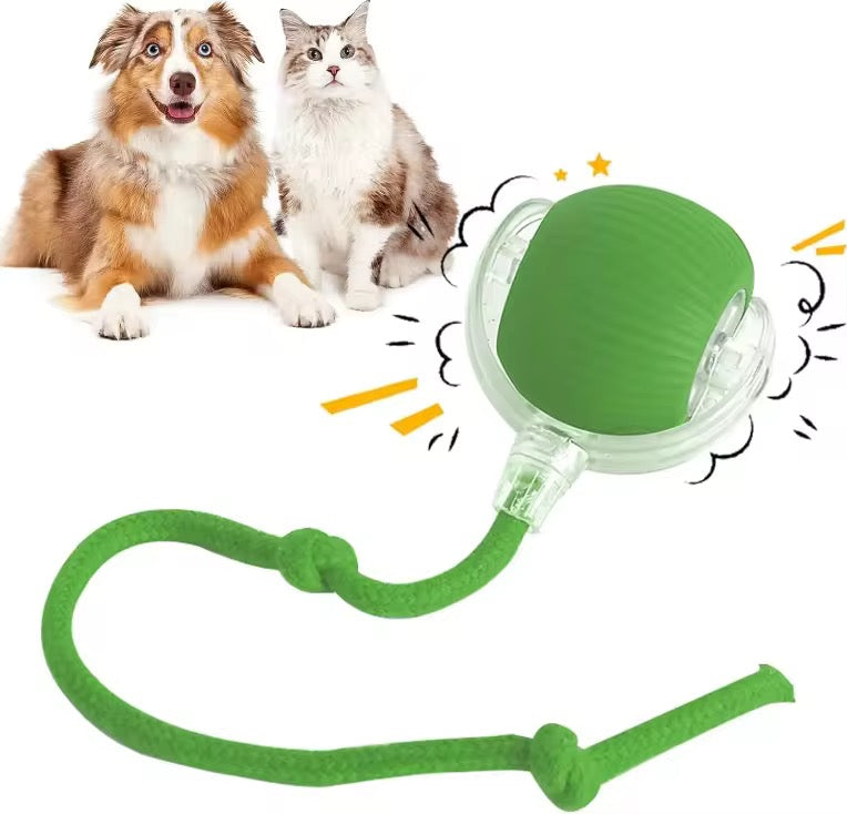 Balle interactive intelligente pour chat, rechargeable et amusante !